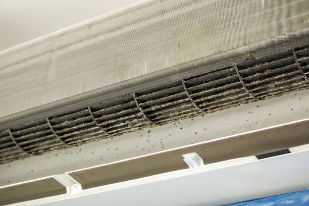 Best Dryer Vent Cleaning Services  in Key Biscayne, FL